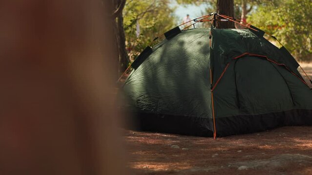 Summer activity and tourism. Green tent in campground. Outdoor picnic and hiking at the pine forest. Tracking right, view from the tree trunk. Slow motion. Concept of adventure and travel.