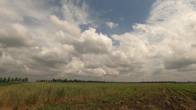 Time lapse footage of clouds and sky over uncultivated meadow in overcast summer day