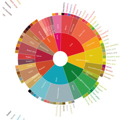 Specialty coffee concept. Flavor wheel