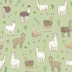 Fototapeta premium Lama alpaca animal vector seamless pattern.