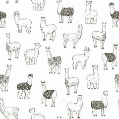 Lama alpaca animal vector seamless pattern. © GooseFrol