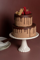 Celebration cake with fruit and plates on brown toned background