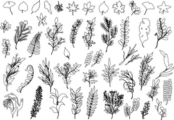 手描き 線画 秋の紅葉 植物 シンプル イラストアイコン セット