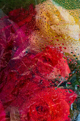 Water drops on a transparent film after rain. the flowers are visible under the film. Theme: bright advertising background