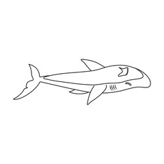 Shark vector icon.Outline vector icon isolated on white background shark.