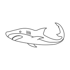 Shark vector icon.Outline vector icon isolated on white background shark.