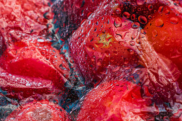 Textured background of freshly picked tomatoes under glass or film with water drops
