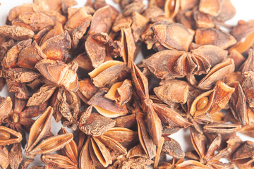 Star anises dried spice fruits