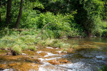 iğneada longoz ormanı