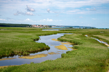 iğneada longoz ormanı