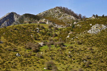 picos montañosos