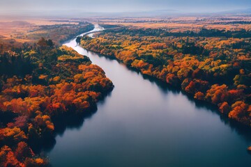 Aerial View of Colorful Forest Gills and River Gauja in Autumn during Sunset Time, Sigulda, Latvia Generative AI - obrazy, fototapety, plakaty