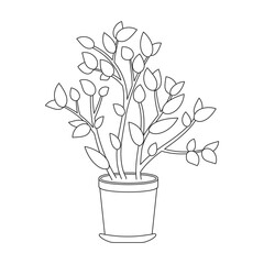 Flowerpot vector outline icon. Vector illustration flowerpot on white background. Isolated outline illustration icon of flower pot.