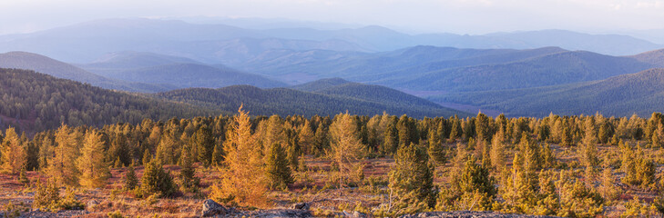 Autumn view, mountain landscape, mountain taiga, morning light