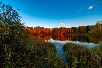 Lake of the Woods on an October evening in Samarskaya Luka National Park!