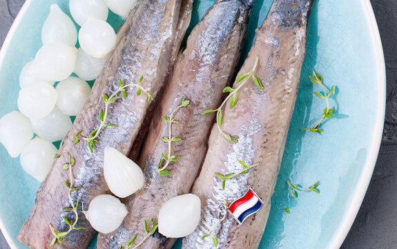 Freshly salted herring with salt, with copy space. Traditional Dutch delicacy