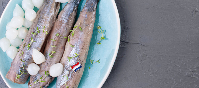 Freshly salted herring with salt, with copy space. Traditional Dutch delicacy
