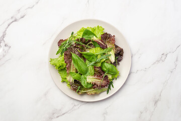 Green leaves for salad in a gray plate on a gray background