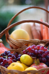 Hokkaido pumpkins and vintage baskets filled with various autumnal produce in the garden. Selective focus.