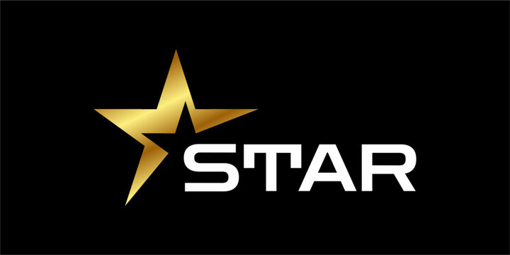 vector gold color star design logo eps.10