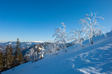 clearing in the winter mountains on a sunny day for outdoor activities and walks