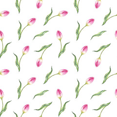 Watercolor tulips. Seamless pattern