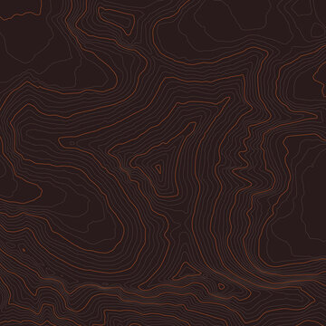 Vector brown background with black textured topographical contour of Mount Everest