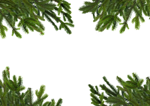 Natural green Christmas tree branches framery with blank copyspace isolated, use horizontal or vertical