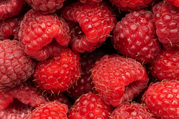 Ripe raspberries. Berries. A handful of raspberries. Scarlet. Raspberry field. Raspberry juice. 