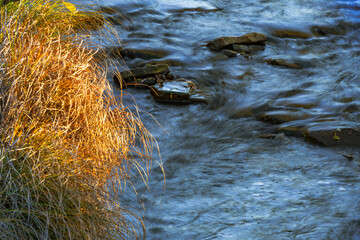 water in the river long exposure with moving grass in the wind
