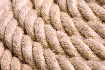 hemp rope surface - textures and backgrounds - 537255868