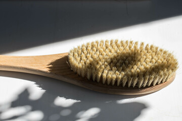 Macro photography of a brush made of cactus fibers, highlighted on a white background with hard shadows. Spa beauty concept. Selective focus. Horizontal orientation.