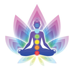 Meditating woman in lotus pose. Yoga illustration. - 537258275
