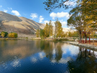 reflection of trees in the lake