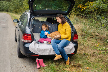 Family road trip with pet, sit in car trunk and eat tasty food