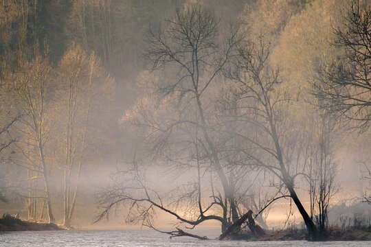Herbstnebel