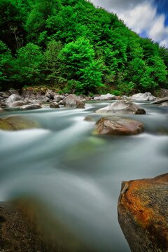 Beautiful Scenery Of River Flowing Downstream In A Forest