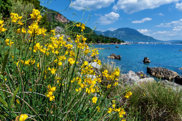 Beautiful sea landscapes in Montenegro