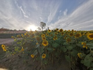 sunset in the mountains