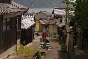 田舎の道 © TeTsumi
