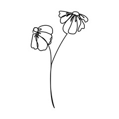 continuous line hand drawn beautiful black and white line flowers Design greeting cards and holiday invitations. raster line illustration