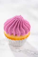 Mini Vanilla Cupcakes with Pink Buttercream Frosting