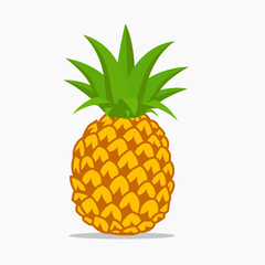 Pineapple fruit vector illustration cartoon