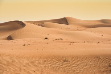 Fototapeta na wymiar Landscape photo of desert and sand dune under the golden hour sunset sky in Dubai, UAE