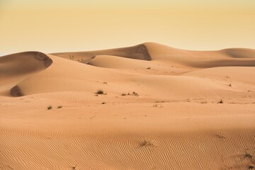 Fototapeta na wymiar Landscape photo of desert and sand dune under the golden hour sunset sky in Dubai, UAE