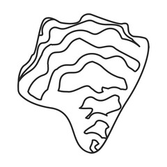 Oyster vector icon.Outline vector icon isolated on white background oyster.