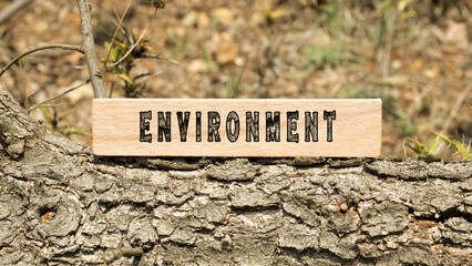 Environment word. Written on wooden surface. Outdoors is on a tree branch. Ecological balance and nature