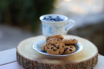 Plate of chocolate chip cookies and cup of blueberries, served in a garden. Selective focus.
