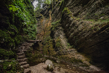 Wunderschöner Waldweg