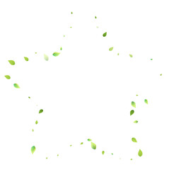 Leaves Green Falling Flying Foliage Leaf Tea Mint